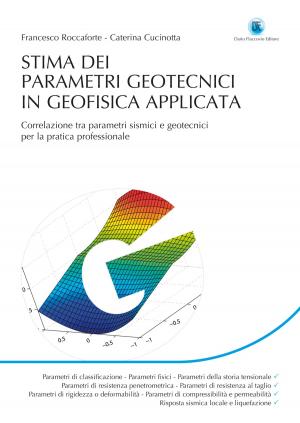 Book cover of STIMA DEI PARAMETRI GEOTECNICI IN GEOFISICA APPLICATA: CORRELAZIONI TRA PARAMETRI SISMICI E GEOTECNICI PER LA PRATICA PROFESSIONALE