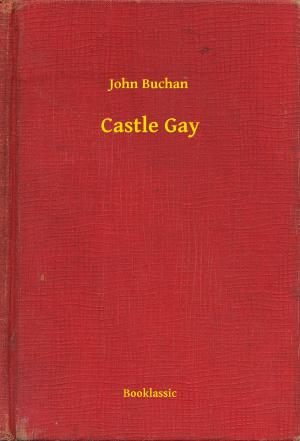 Cover of the book Castle Gay by Paolo Valera