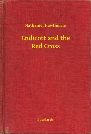 Cover of the book Endicott and the Red Cross by John Buchan