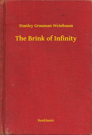 Cover of The Brink of Infinity