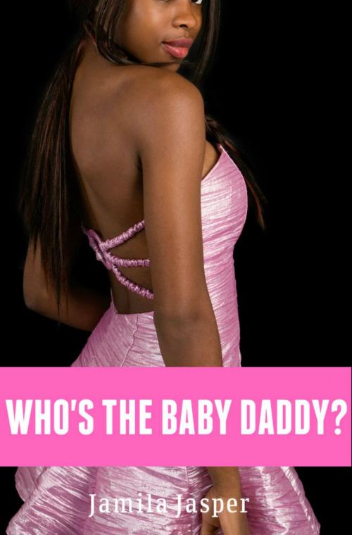 Cover of the book Who's The Baby Daddy by Jamila Jasper, Jamila Jasper Publishing