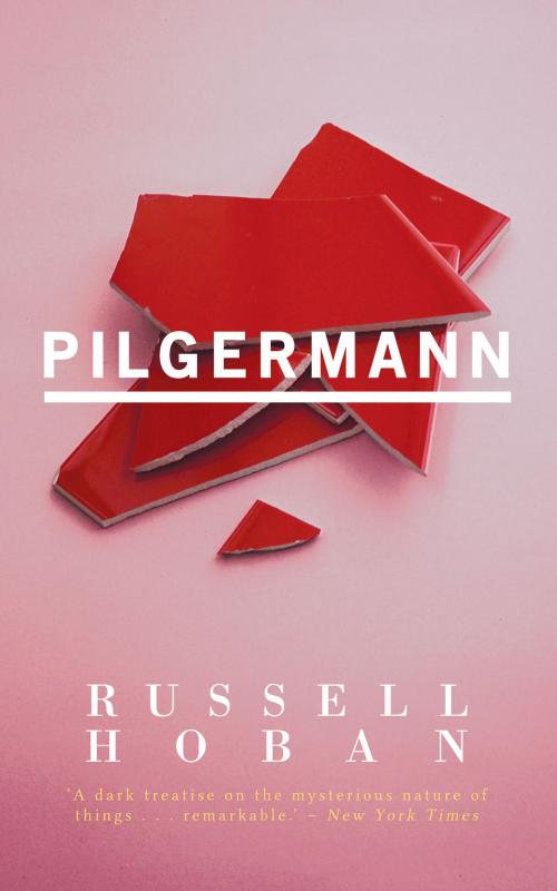 Cover of the book Pilgermann by Russell Hoban, Valancourt Books