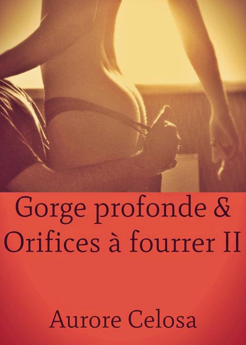 Cover of the book Gorge profonde & Orifices à fourrer by Aurore Celosa, Editions Castigo