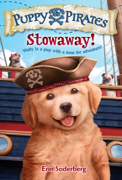 Cover of the book Puppy Pirates #1: Stowaway! by Erin Soderberg, Random House Children's Books