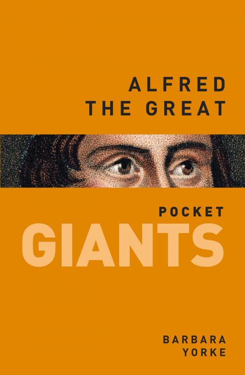 Cover of the book Alfred the Great by Barbara Yorke, The History Press