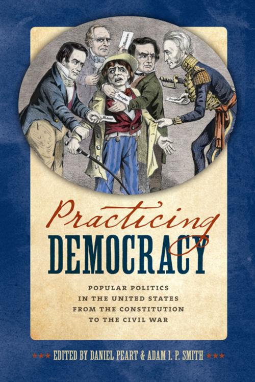 Cover of the book Practicing Democracy by , University of Virginia Press