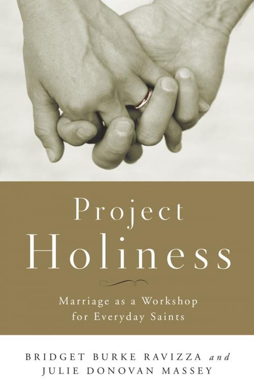 Cover of the book Project Holiness by Julie Donovan Massey, Bridget Burke Ravizza, Liturgical Press