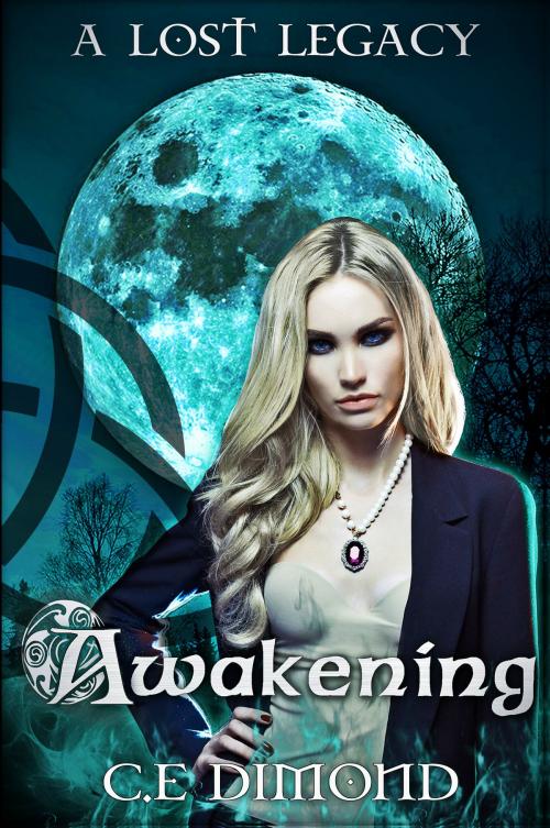 Cover of the book A Lost Legacy: Awakening by C.E Dimond, Write Addictions