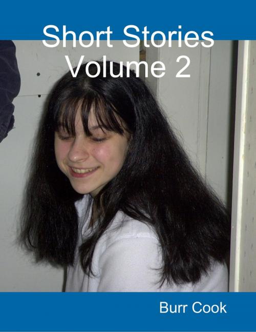 Cover of the book Short Stories Volume 2 by Burr Cook, Lulu.com