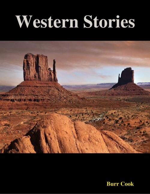 Cover of the book Western Stories by Burr Cook, Lulu.com