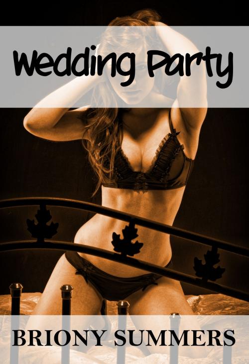 Cover of the book Wedding Party by Briony Summers, Briony Summers