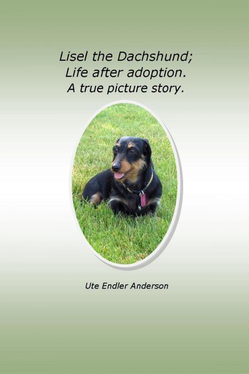 Cover of the book Lisel The Dachshund; Life after adoption. A true picture story. by Ute Anderson, Ute Anderson