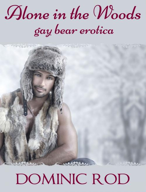 Cover of the book Alone in the Winter (Gay Bear Erotica) by Dominic Rod, Luna Erotica Wilder
