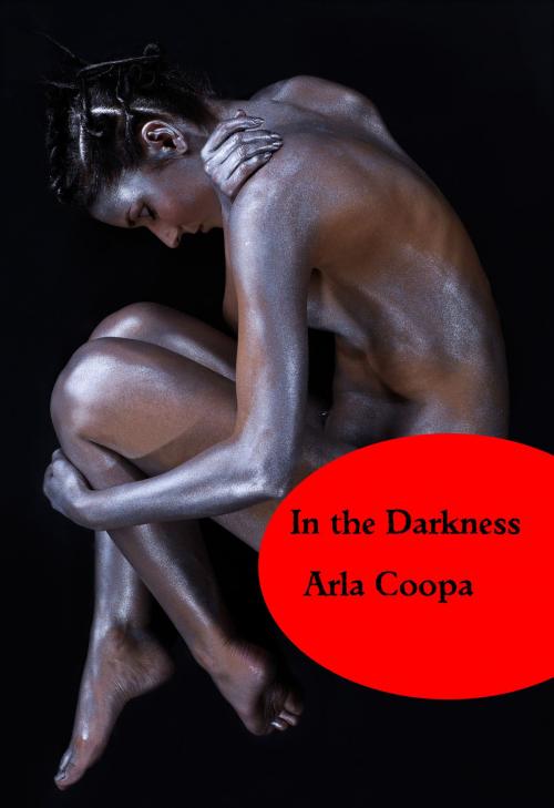 Cover of the book In the Darkness by Arla Coopa, Arla Coopa