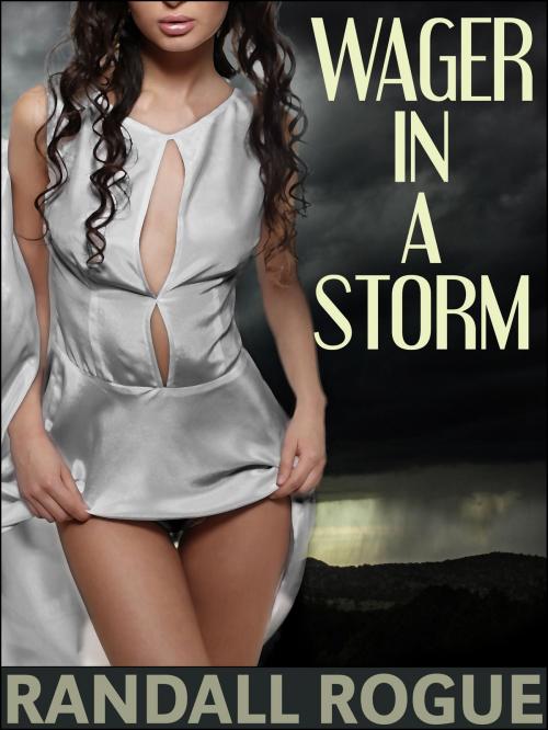 Cover of the book Wager in a Storm by Randall Rogue, Dapper Rat Publishing