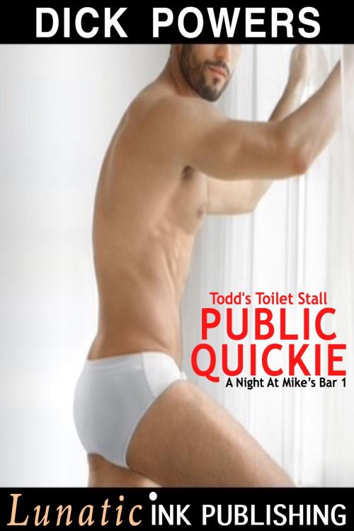 Cover of the book Todd's Toilet Stall Public Quickie by Dick Powers, Lunatic Ink Publishing