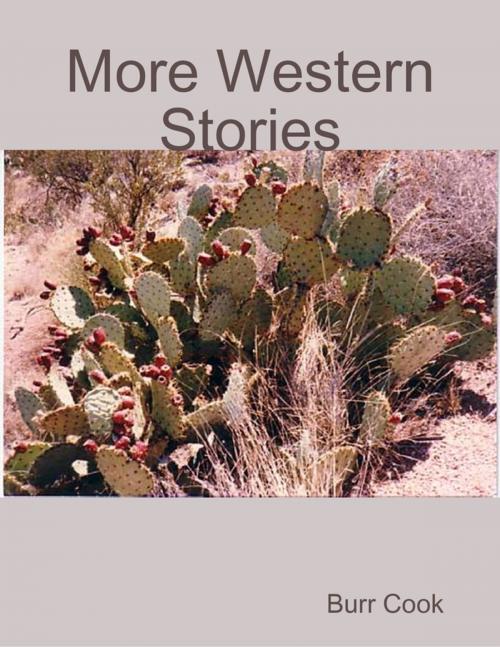 Cover of the book More Western Stories by Burr Cook, Lulu.com