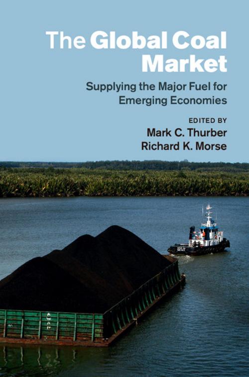 Cover of the book The Global Coal Market by , Cambridge University Press