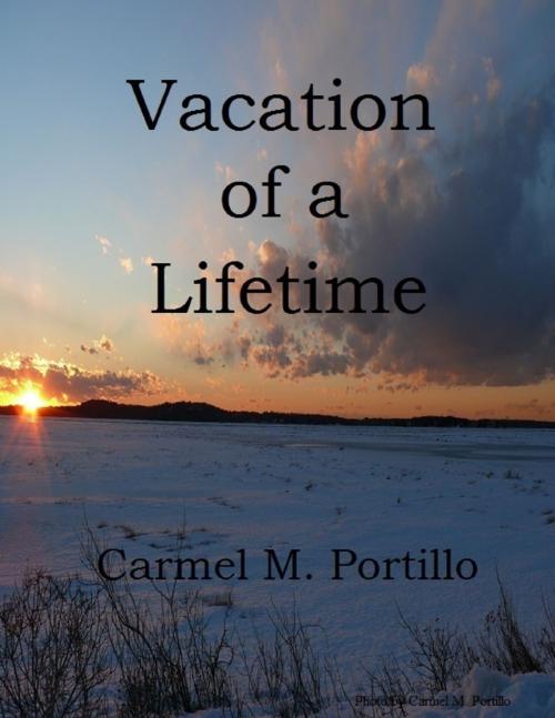 Cover of the book Vacation of a Lifetime by Carmel M. Portillo, Lulu.com