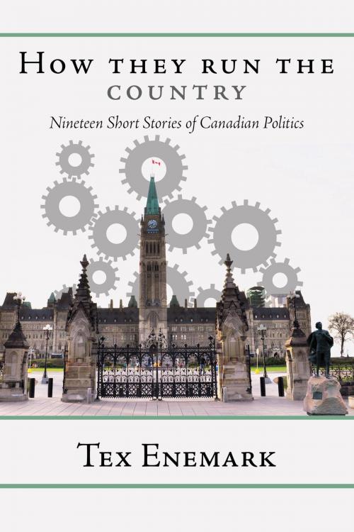 Cover of the book How They Run The Country by Tex Enemark, FriesenPress