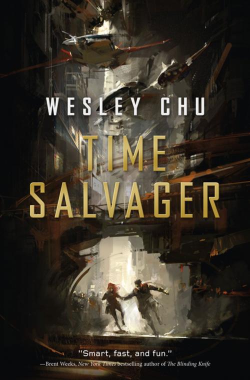 Cover of the book Time Salvager by Wesley Chu, Tom Doherty Associates