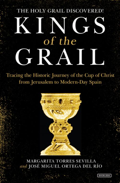 Cover of the book Kings of the Grail by Margarita Torres Sevilla, José Miguel Ortega Del Río, ABRAMS (Ignition)