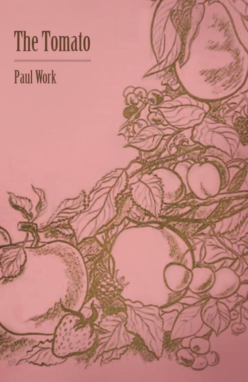 Cover of the book The Tomato by Paul Work, Read Books Ltd.