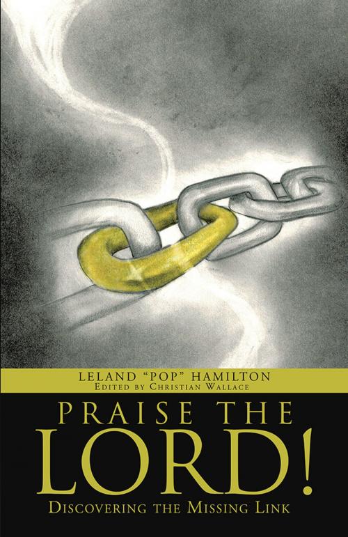 Cover of the book Praise the Lord! by Leland "Pop" Hamilton, WestBow Press