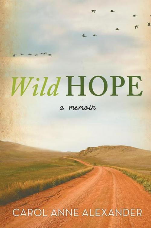 Cover of the book Wild Hope by Carol Anne Alexander, WestBow Press