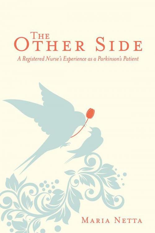 Cover of the book The Other Side by Maria Netta, iUniverse