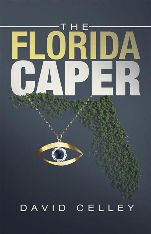 Cover of the book The Florida Caper by David Celley, iUniverse