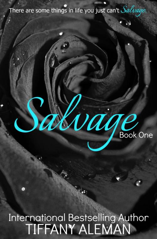 Cover of the book Salvage by Tiffany Aleman, Tiffany Aleman