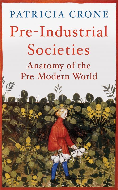 Cover of the book Pre-Industrial Societies by Patricia Crone, Oneworld Publications