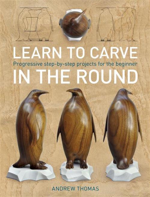 Cover of the book Learn to Carve in the Round by Andrew Thomas, Ammonite
