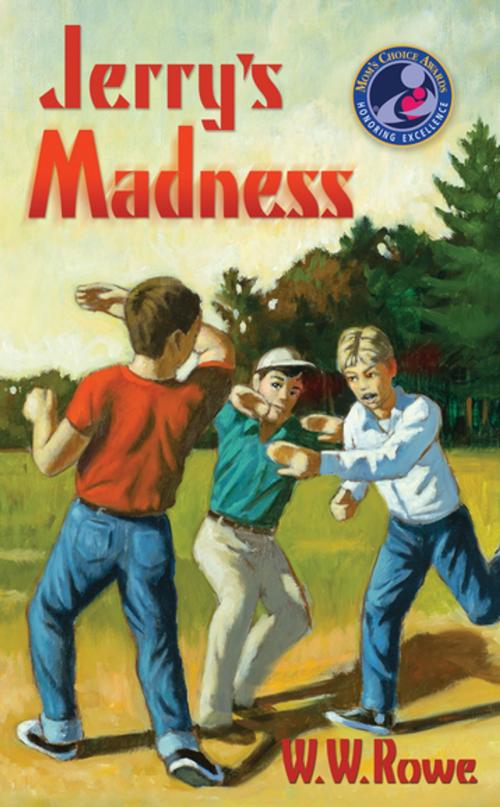 Cover of the book Jerry's Madness by W. W. Rowe, Larson Publications