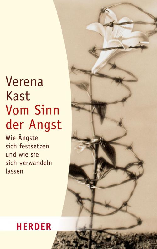 Cover of the book Vom Sinn der Angst by Verena Kast, Verlag Herder