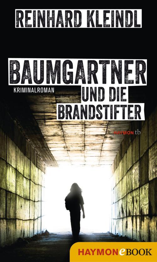 Cover of the book Baumgartner und die Brandstifter by Reinhard Kleindl, Haymon Verlag