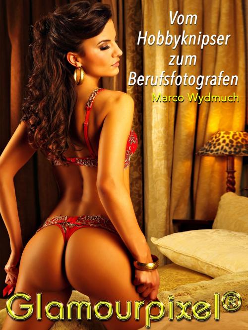 Cover of the book Vom Hobbyknipser zum Berufsfotografen by Marco Wydmuch, Books on Demand