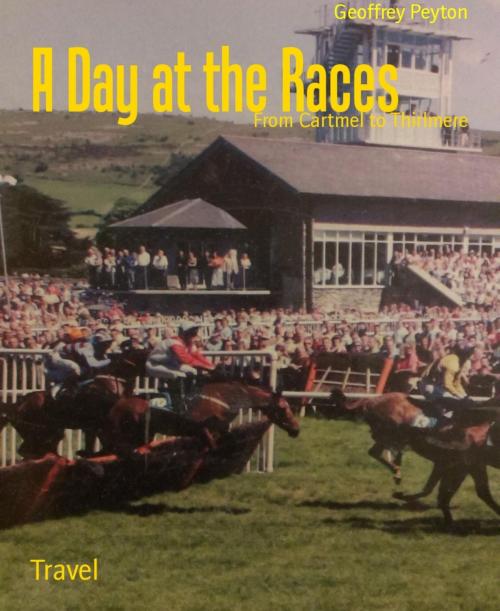 Cover of the book A Day at the Races by Geoffrey Peyton, BookRix