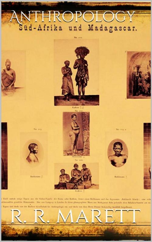 Cover of the book Anthropology by R. R. Marett, R. R. Marett