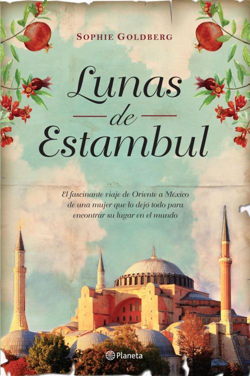 Cover of the book Lunas de Estambul by Sophie Goldberg, Grupo Planeta - México