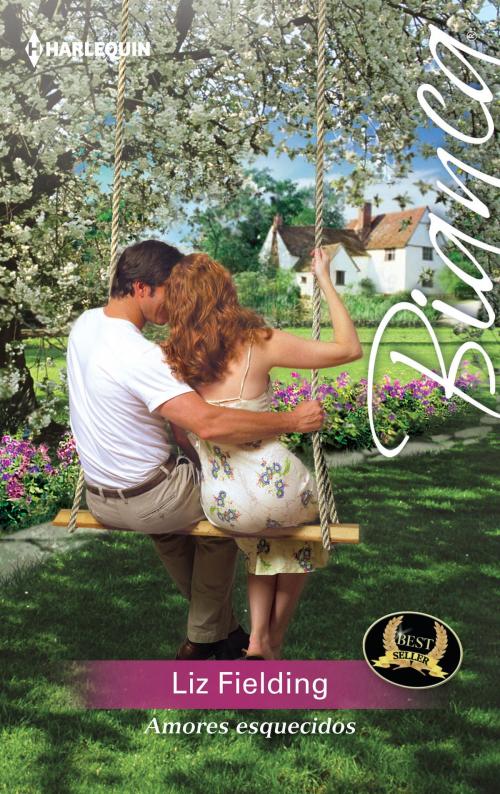 Cover of the book Amores esquecidos by Liz Fielding, Harlequin, uma divisão de HarperCollins Ibérica, S.A.