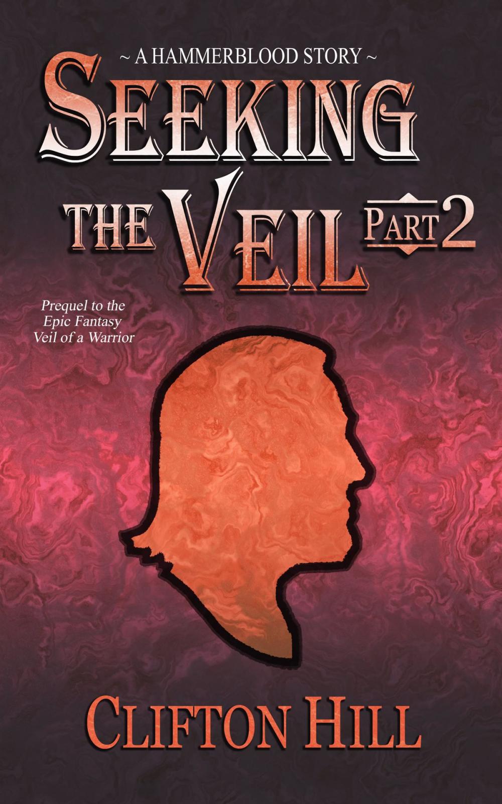 Big bigCover of Seeking the Veil, Part 2