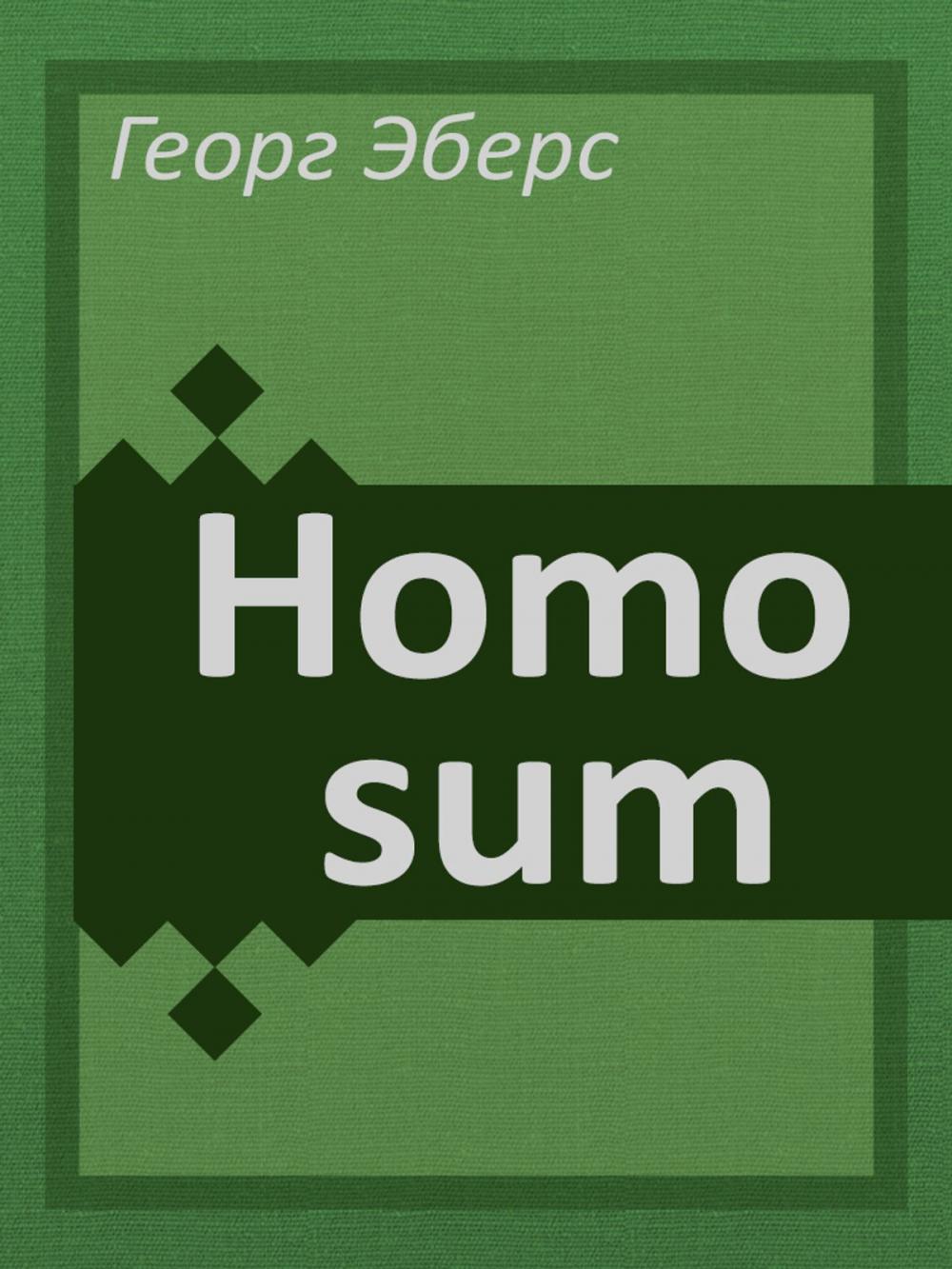 Big bigCover of Homo sum