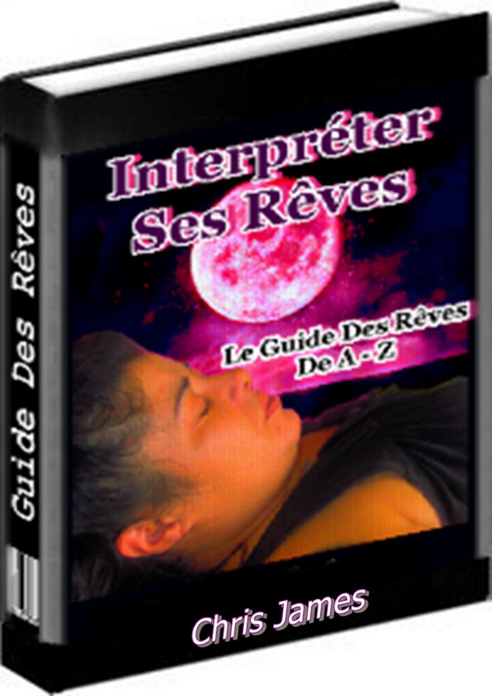 Big bigCover of Interpréter ses rêves