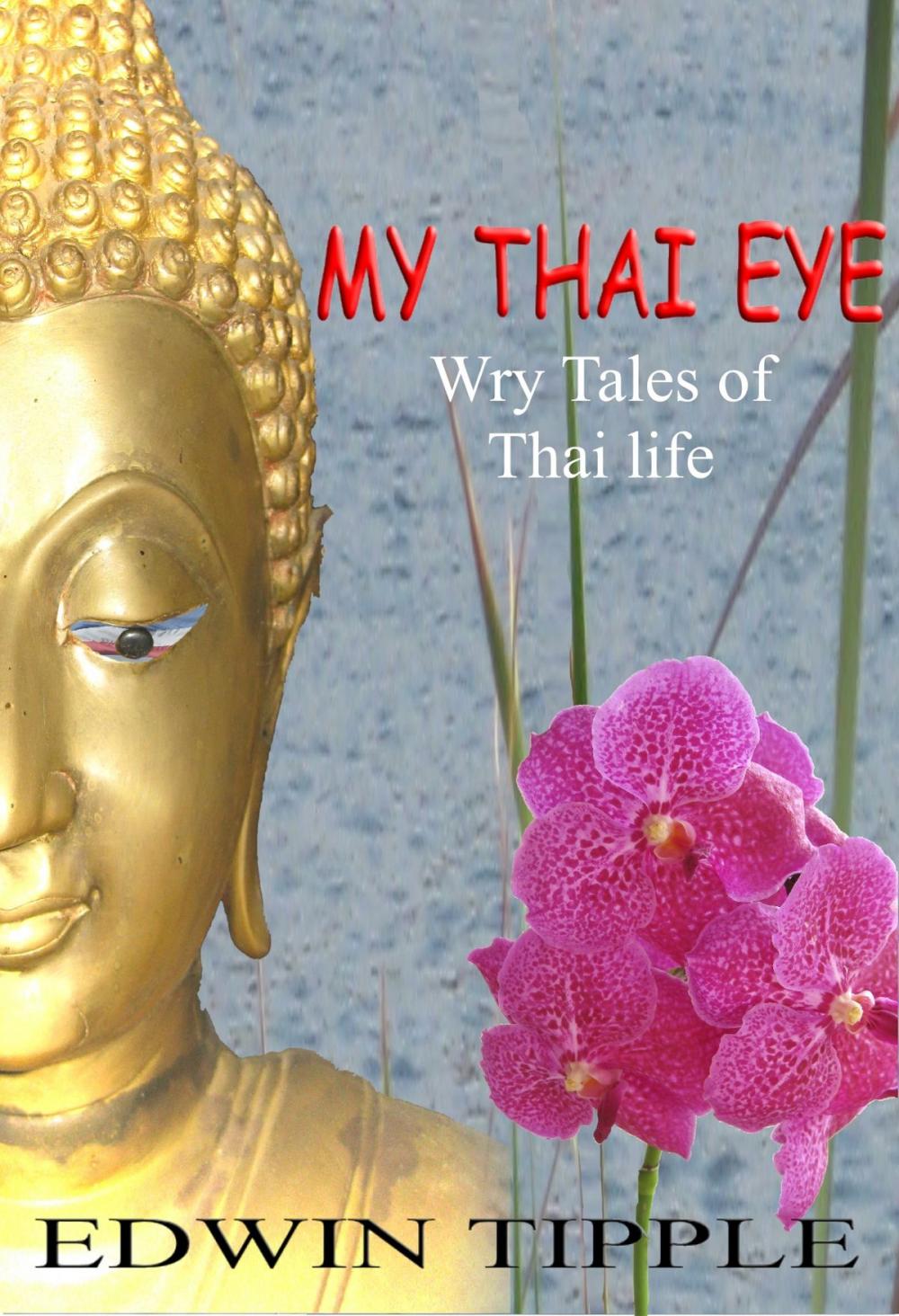 Big bigCover of My Thai Eye