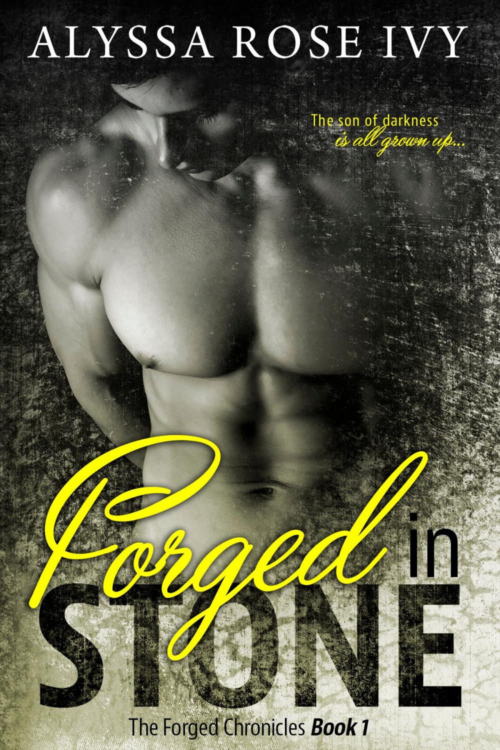 Big bigCover of Forged in Stone (The Forged Chronicles #1)