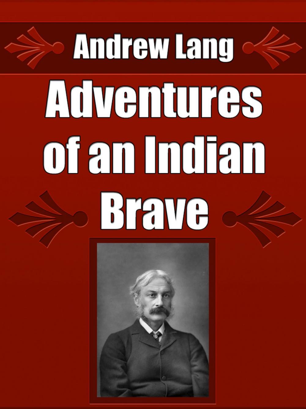 Big bigCover of Adventures of an Indian Brave