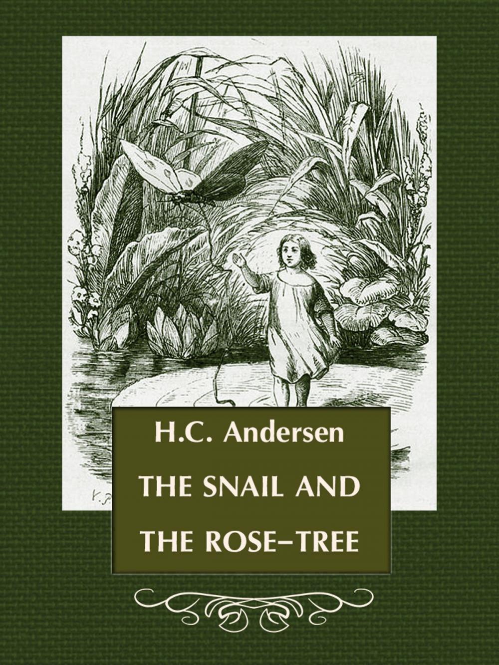 Big bigCover of THE SNAIL AND THE ROSE-TREE