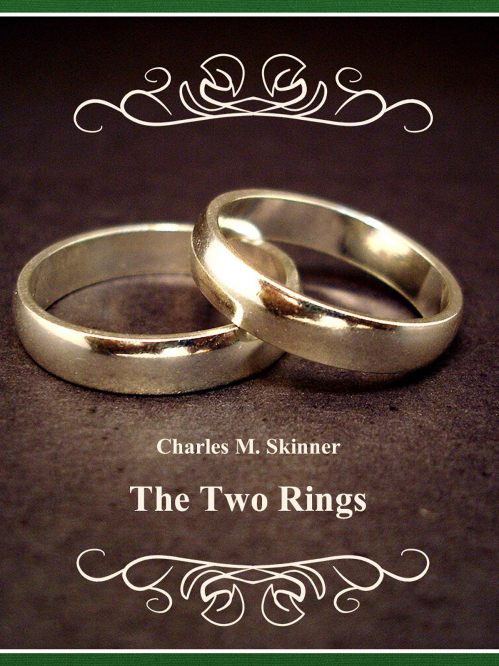 Big bigCover of The Two Rings